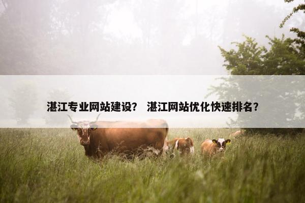 湛江专业网站建设？ 湛江网站优化快速排名？