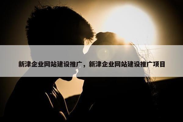 新津企业网站建设推广，新津企业网站建设推广项目