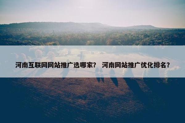 河南互联网网站推广选哪家？ 河南网站推广优化排名？