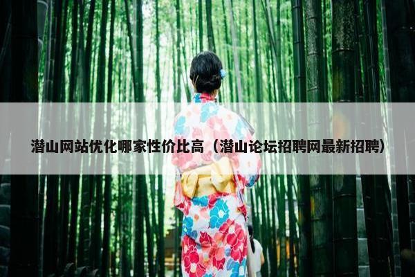 潜山网站优化哪家性价比高（潜山论坛招聘网最新招聘）