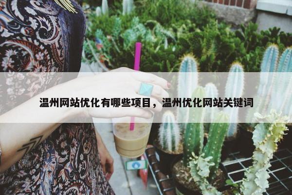 温州网站优化有哪些项目，温州优化网站关键词