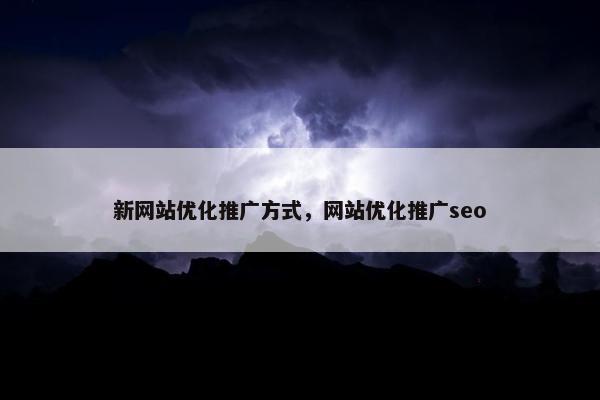 新网站优化推广方式，网站优化推广seo