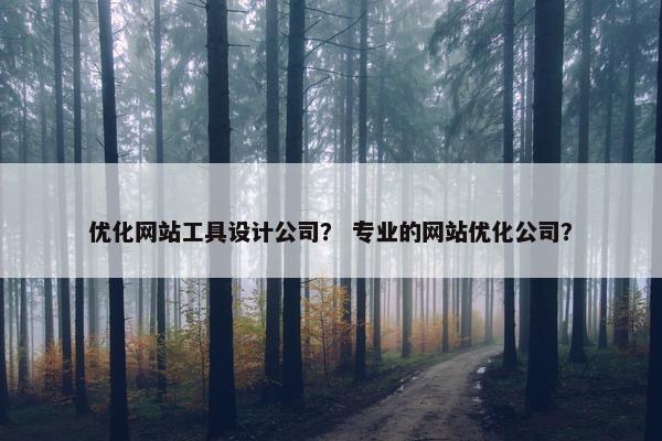 优化网站工具设计公司？ 专业的网站优化公司？