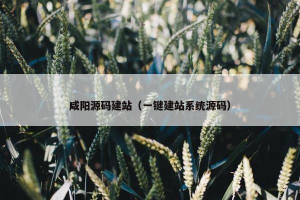 咸阳源码建站（一键建站系统源码）