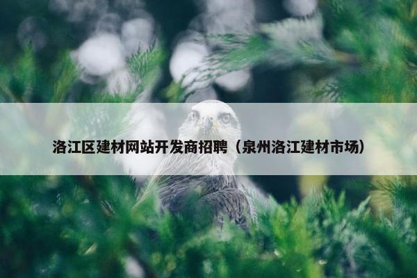 洛江区建材网站开发商招聘（泉州洛江建材市场）