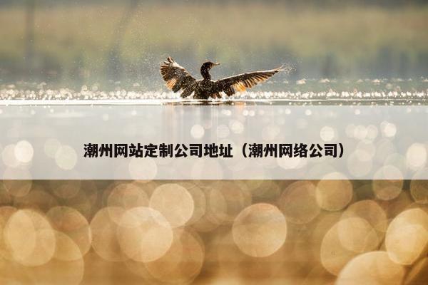 潮州网站定制公司地址（潮州网络公司）