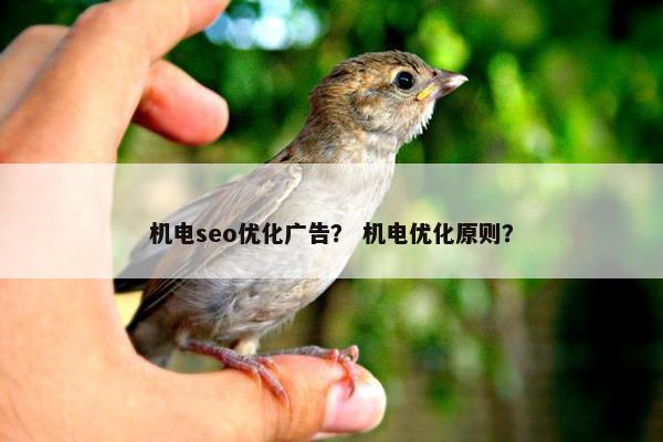 机电seo优化广告？ 机电优化原则？