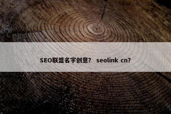 SEO联盟名字创意？ seolink cn？