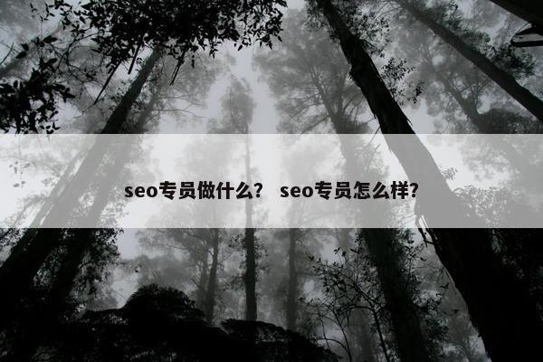 seo专员做什么？ seo专员怎么样？