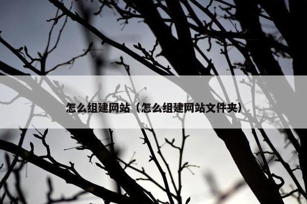 怎么组建网站（怎么组建网站文件夹）