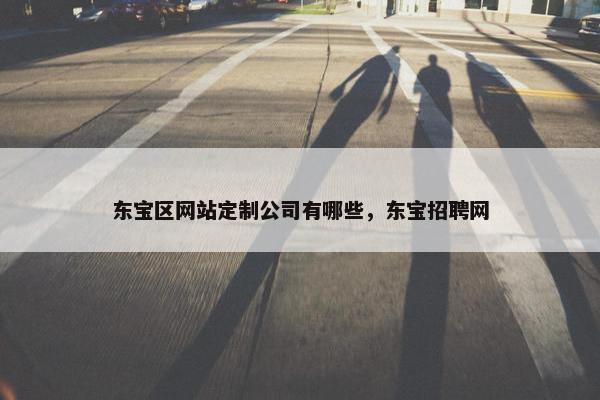 东宝区网站定制公司有哪些，东宝招聘网