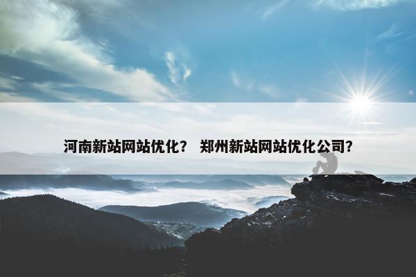 河南新站网站优化？ 郑州新站网站优化公司？
