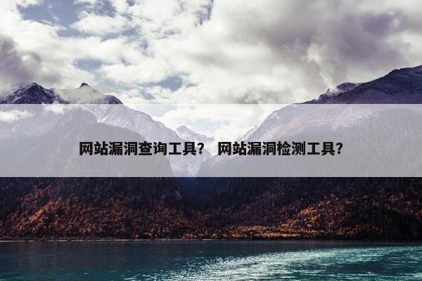 网站漏洞查询工具？ 网站漏洞检测工具？