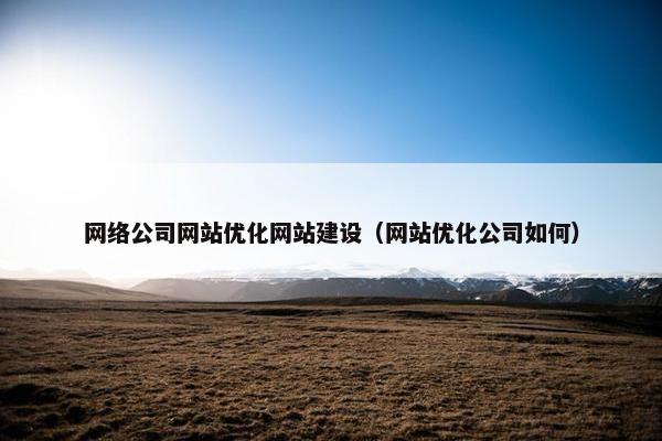 网络公司网站优化网站建设（网站优化公司如何）