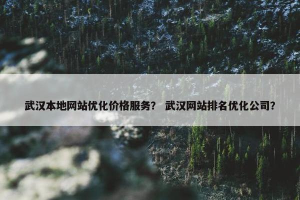 武汉本地网站优化价格服务？ 武汉网站排名优化公司？