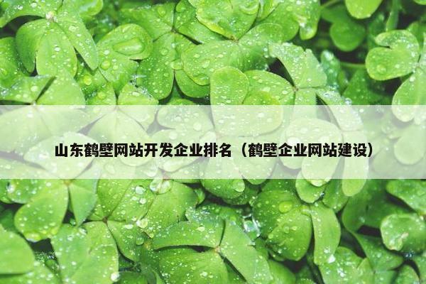 山东鹤壁网站开发企业排名（鹤壁企业网站建设）