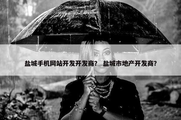 盐城手机网站开发开发商？ 盐城市地产开发商？