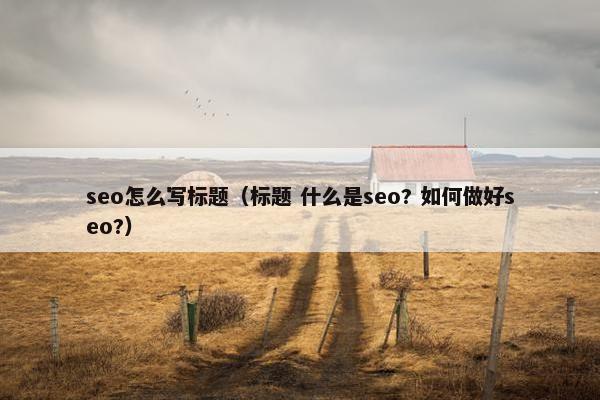 seo怎么写标题（标题 什么是seo? 如何做好seo?）