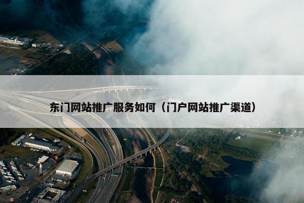 东门网站推广服务如何（门户网站推广渠道）