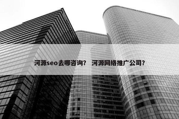 河源seo去哪咨询？ 河源网络推广公司？