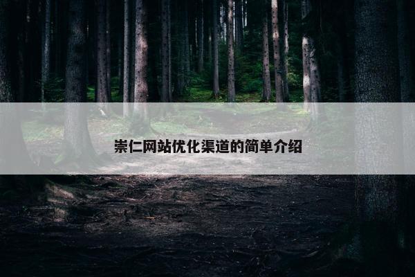 崇仁网站优化渠道的简单介绍
