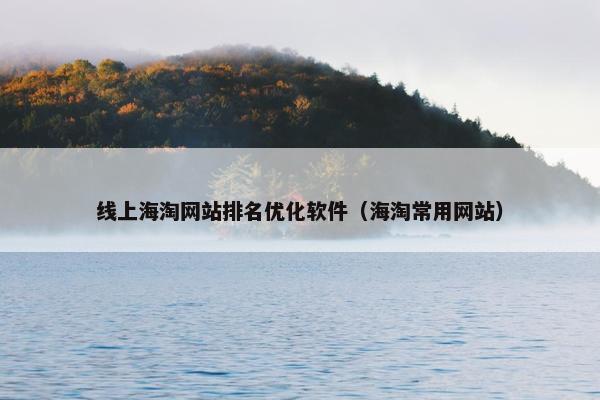 线上海淘网站排名优化软件（海淘常用网站）