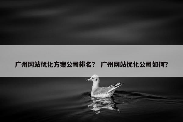 广州网站优化方案公司排名？ 广州网站优化公司如何？