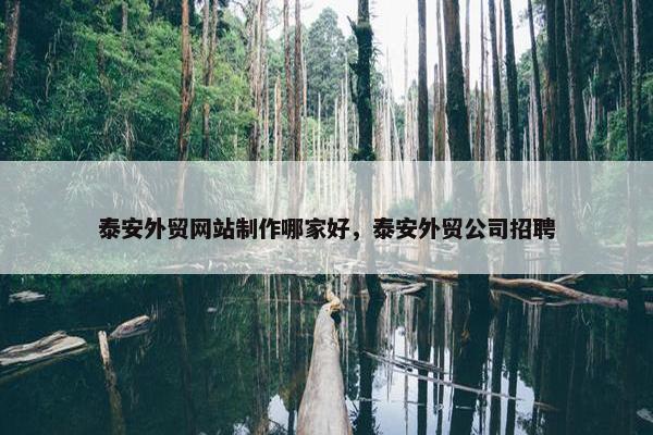 泰安外贸网站制作哪家好，泰安外贸公司招聘