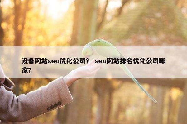 设备网站seo优化公司？ seo网站排名优化公司哪家？