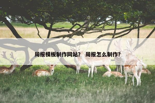 周报模板制作网站？ 周报怎么制作？