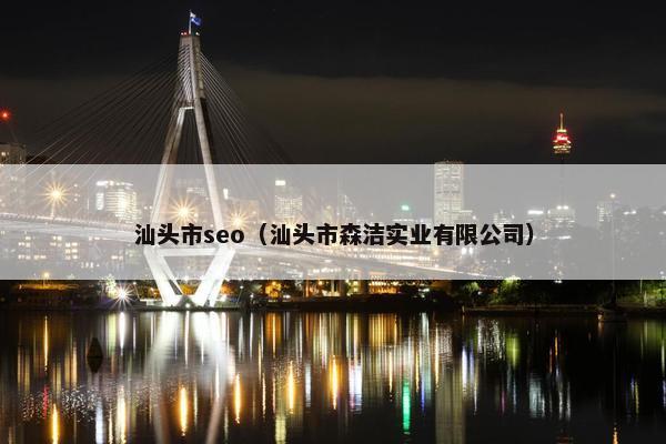 汕头市seo（汕头市森洁实业有限公司）
