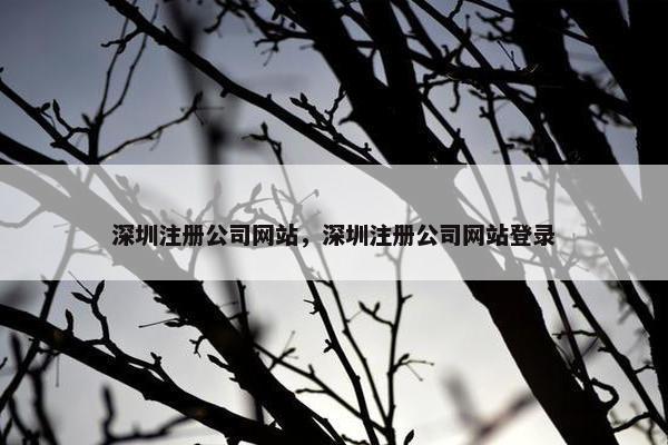 深圳注册公司网站，深圳注册公司网站登录