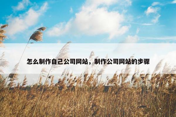 怎么制作自己公司网站，制作公司网站的步骤