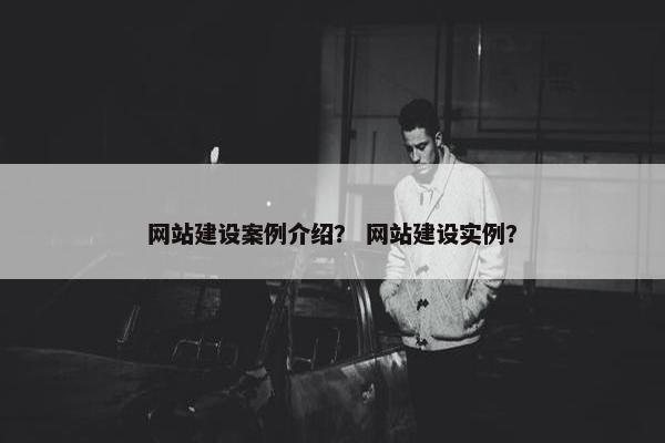 网站建设案例介绍？ 网站建设实例？