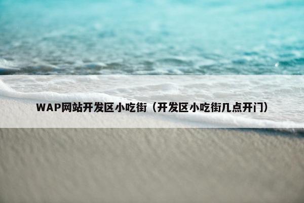 WAP网站开发区小吃街（开发区小吃街几点开门）