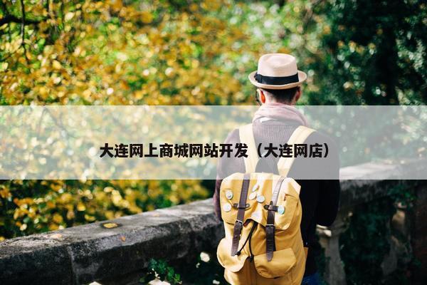 大连网上商城网站开发（大连网店）