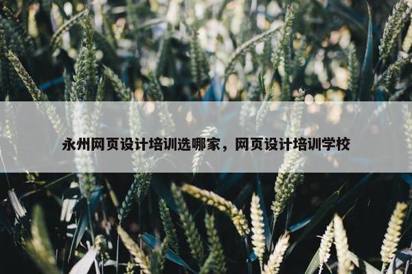 永州网页设计培训选哪家，网页设计培训学校