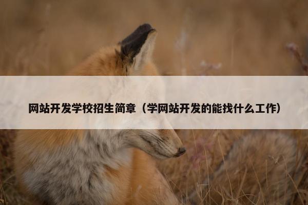 网站开发学校招生简章（学网站开发的能找什么工作）