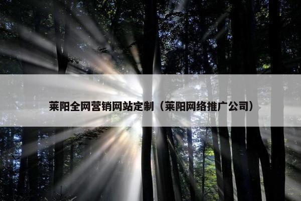 莱阳全网营销网站定制（莱阳网络推广公司）