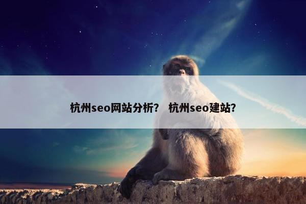 杭州seo网站分析？ 杭州seo建站？