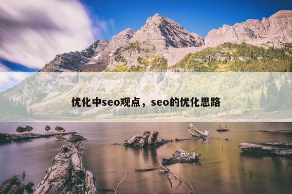 优化中seo观点，seo的优化思路