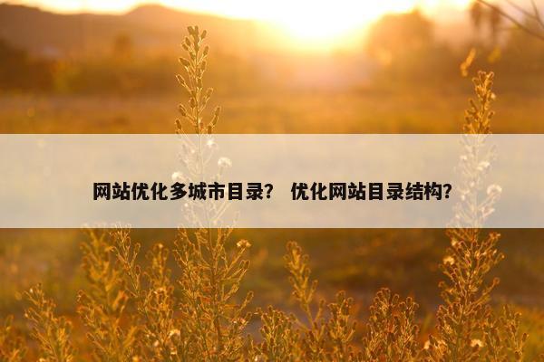 网站优化多城市目录？ 优化网站目录结构？