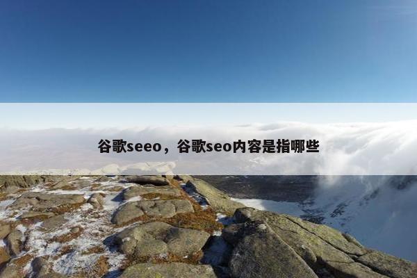 谷歌seeo，谷歌seo内容是指哪些