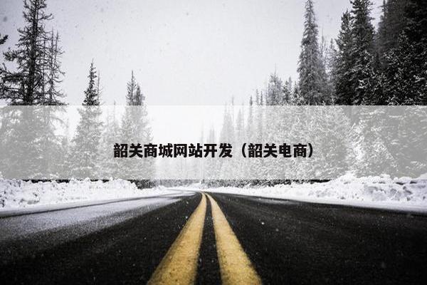 韶关商城网站开发（韶关电商）