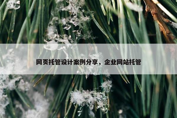 网页托管设计案例分享，企业网站托管