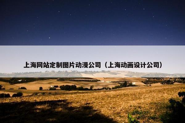 上海网站定制图片动漫公司（上海动画设计公司）