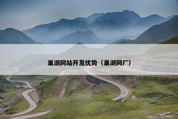 巢湖网站开发优势（巢湖网厂）
