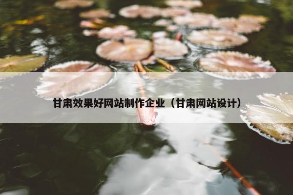 甘肃效果好网站制作企业（甘肃网站设计）