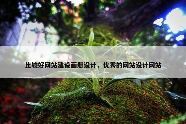 比较好网站建设画册设计，优秀的网站设计网站