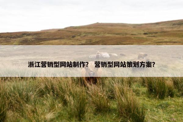 浙江营销型网站制作？ 营销型网站策划方案？